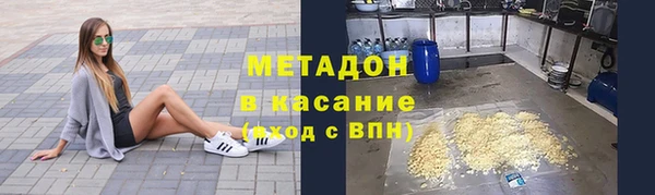 прущие грибы Няндома