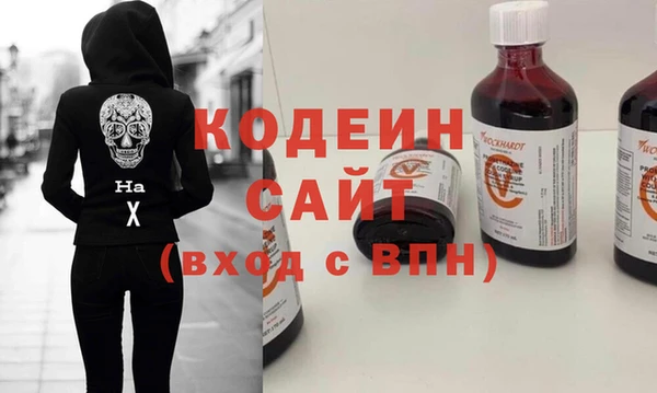 прущие грибы Няндома