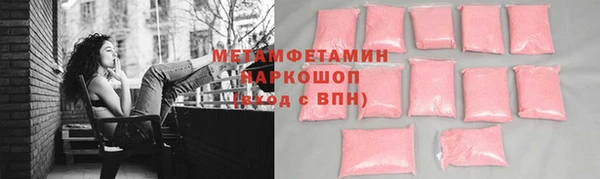 прущие грибы Няндома
