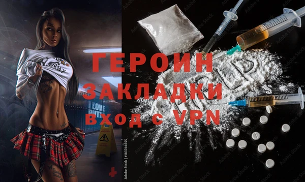 прущие грибы Няндома