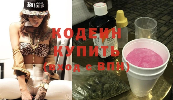 прущие грибы Няндома