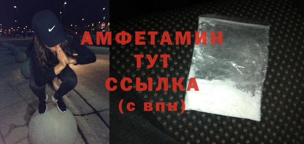 прущие грибы Няндома