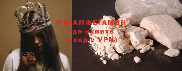 прущие грибы Няндома